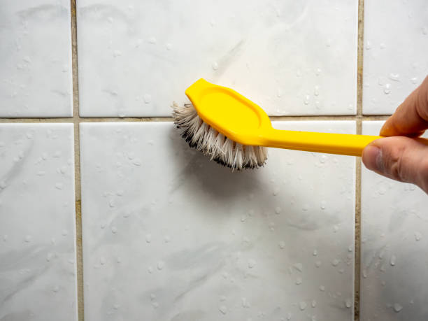 Best Attic Mold Removal  in Nacogdoches, TX